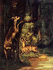 Male and Female Deer in the Woods by Gustave Courbet
